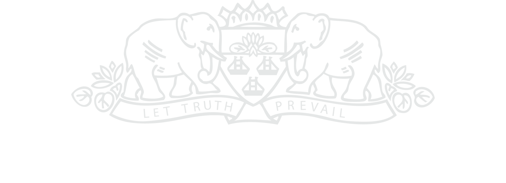 white-the-times-of-india-seeklogo